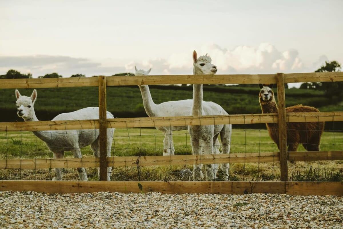The Hay Barn - Hopewell Villa Bristol Dış mekan fotoğraf