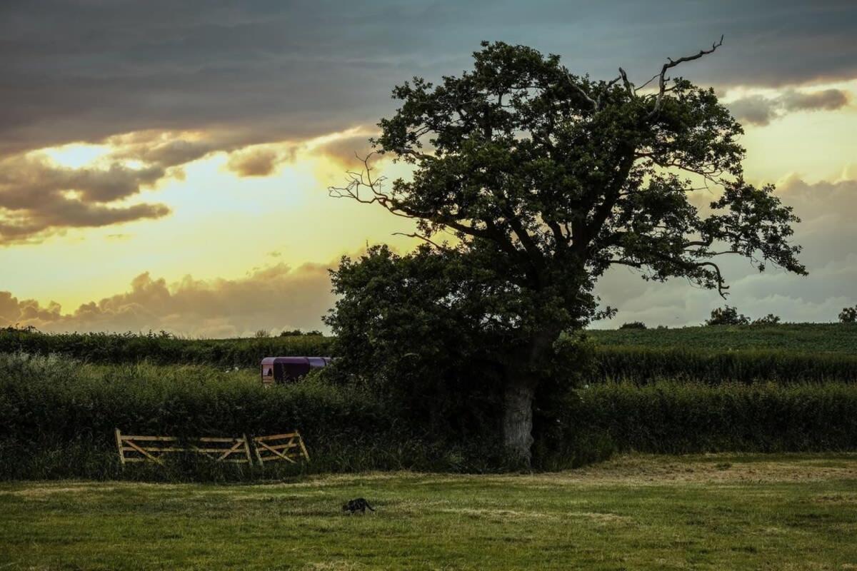 The Hay Barn - Hopewell Villa Bristol Dış mekan fotoğraf